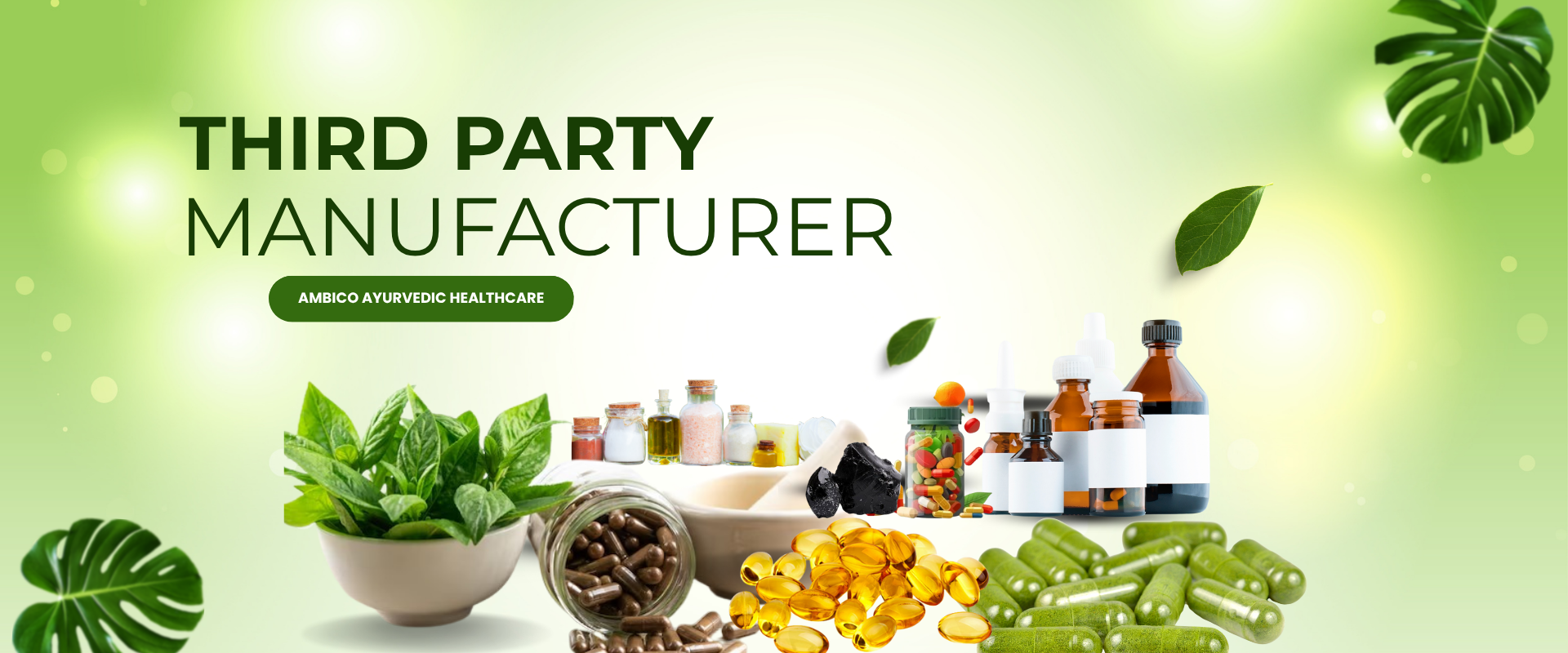 Ayurvedic Healthcare Manufacturer in India